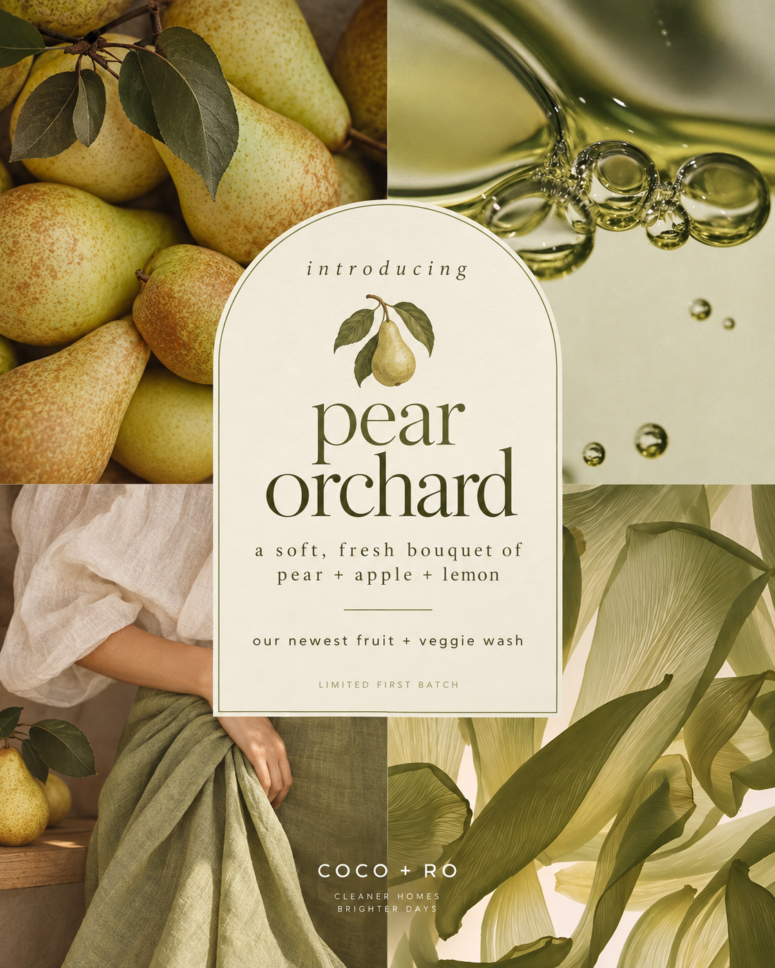 Pear Orchid